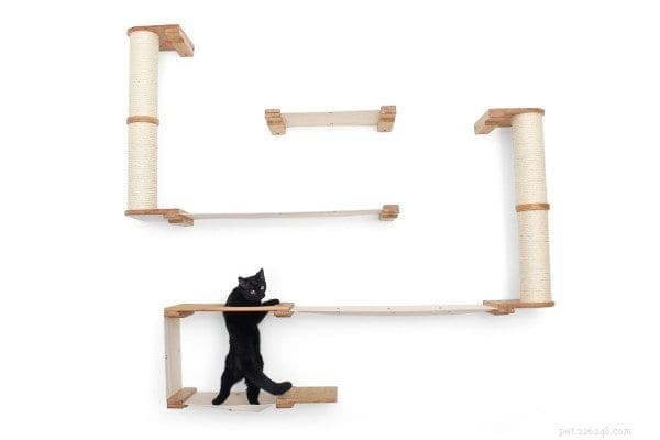 Enhancing Pet Wellness Through Biophilia‑Inspired Design