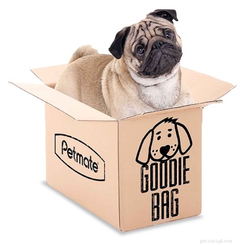 Top 5 Dog‑Friendly Cities for Your Furry Companion