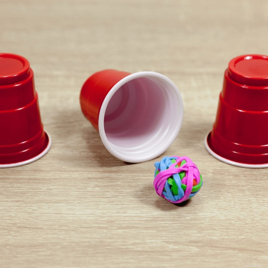 Seven Engaging Indoor Games to Keep Your Dog Active & Bonded