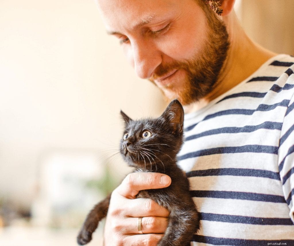 Why Pet Adoption Has Boomed Amid the Pandemic