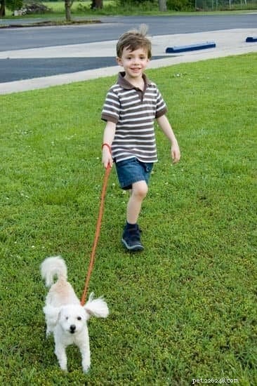 10 Proven Ways Owning a Dog Boosts Your Child’s Growth