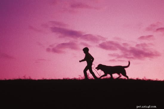 10 Proven Ways Owning a Dog Boosts Your Child’s Growth