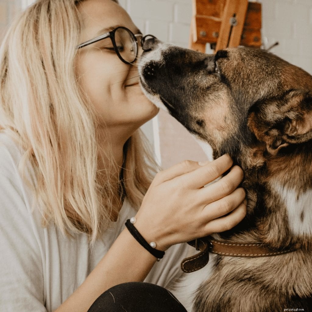 Grain-Free Pet Food: Benefits, Risks, and What Your Pet Really Needs