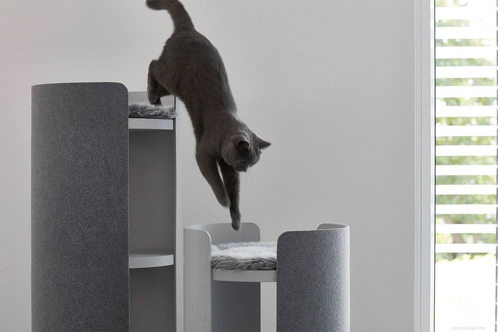 8 Stylish Cat Trees That Transform Your Home