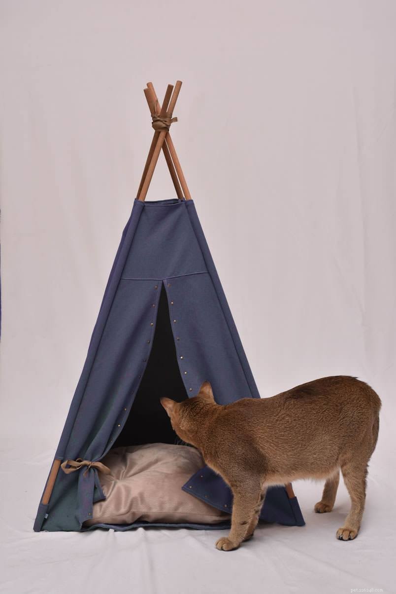8 Stylish Cat Trees That Transform Your Home