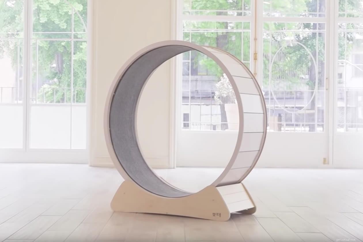 8 Stylish Cat Trees That Transform Your Home