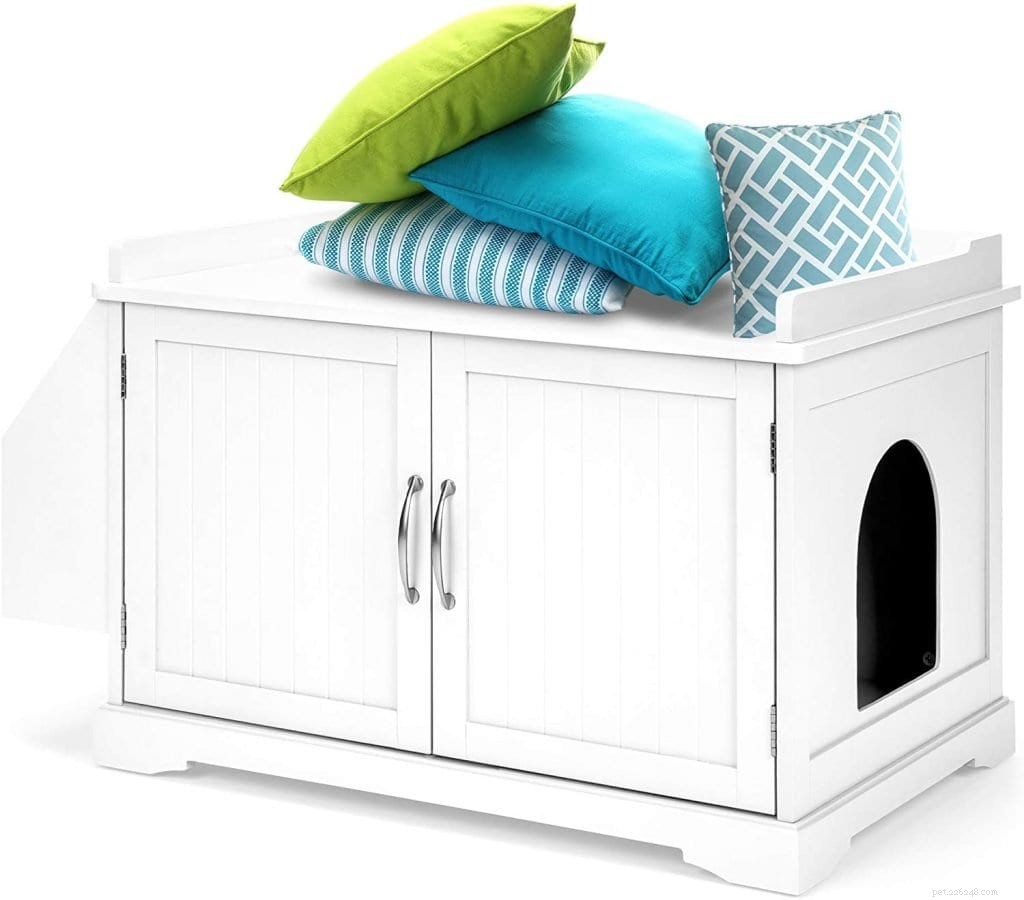 6 Creative Litter Box Solutions Every Cat Owner Should Know