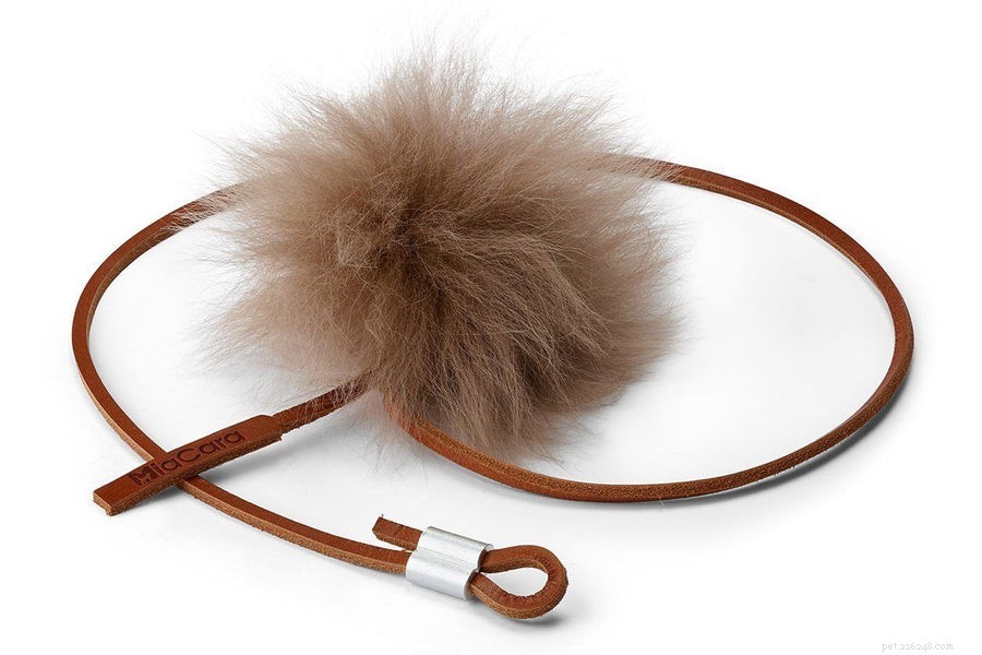 6 Creative Litter Box Solutions Every Cat Owner Should Know