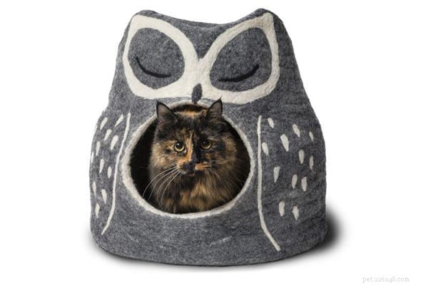 Top 5 Eco-Friendly Cat Beds for Comfort & Sustainability