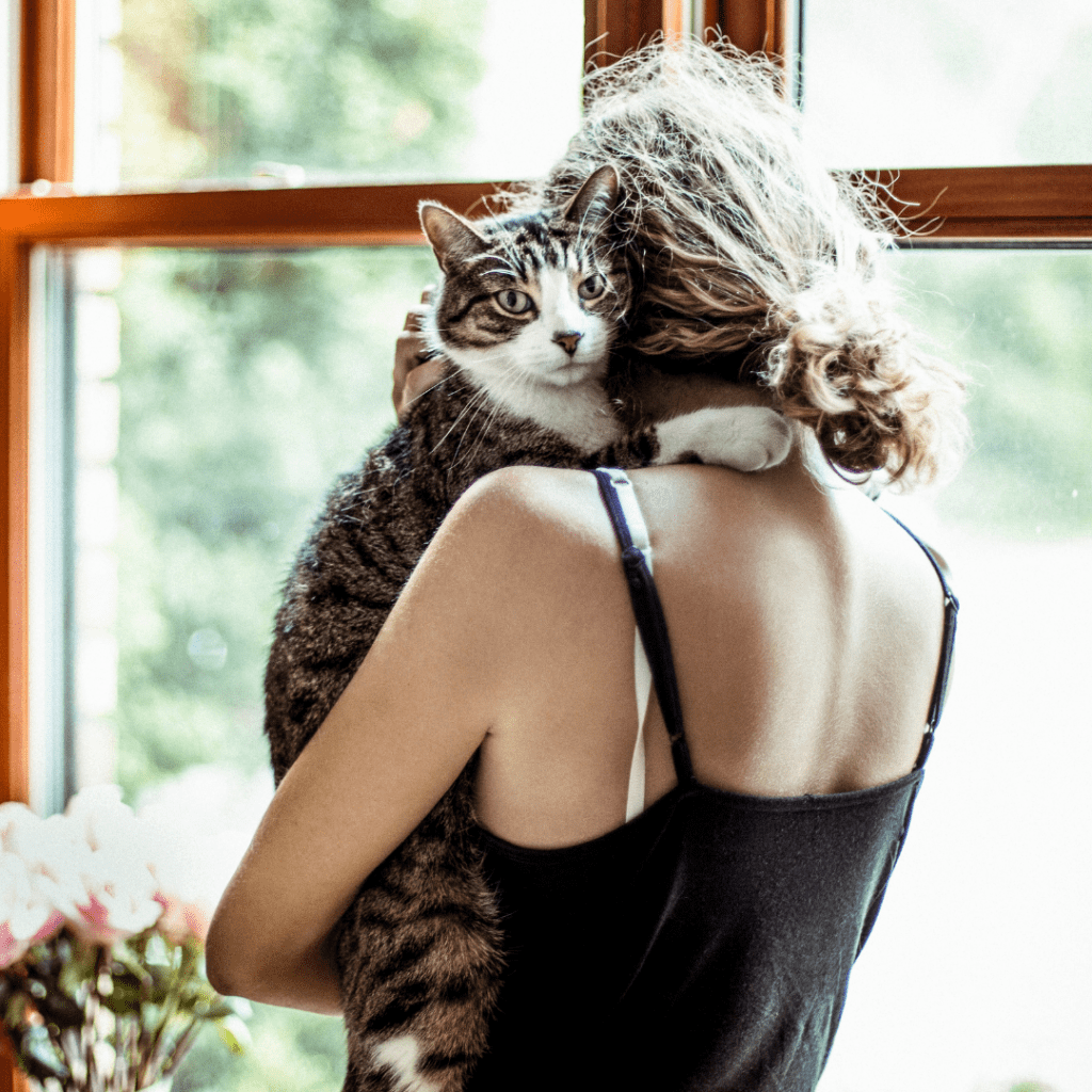 How Cats Express Affection to Humans: Understanding Your Feline’s Love