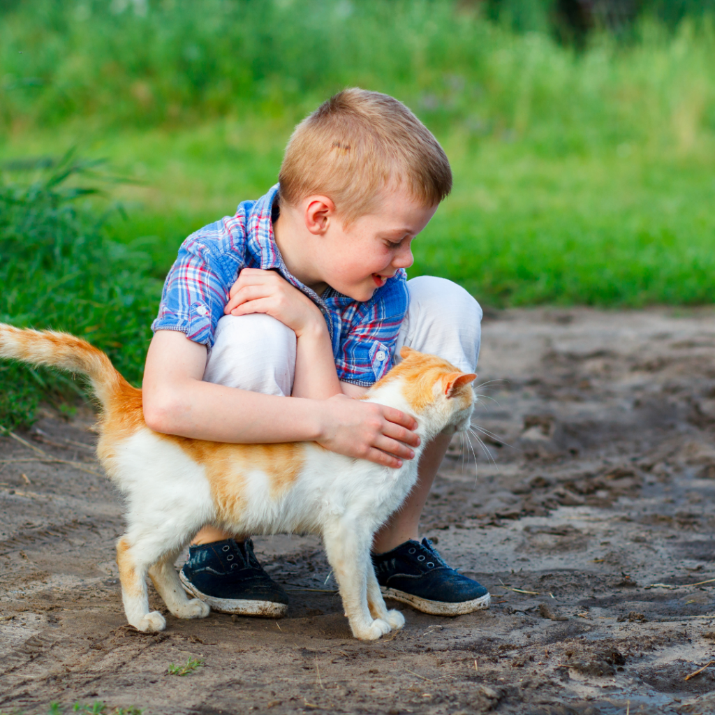 How Cats Express Affection to Humans: Understanding Your Feline’s Love