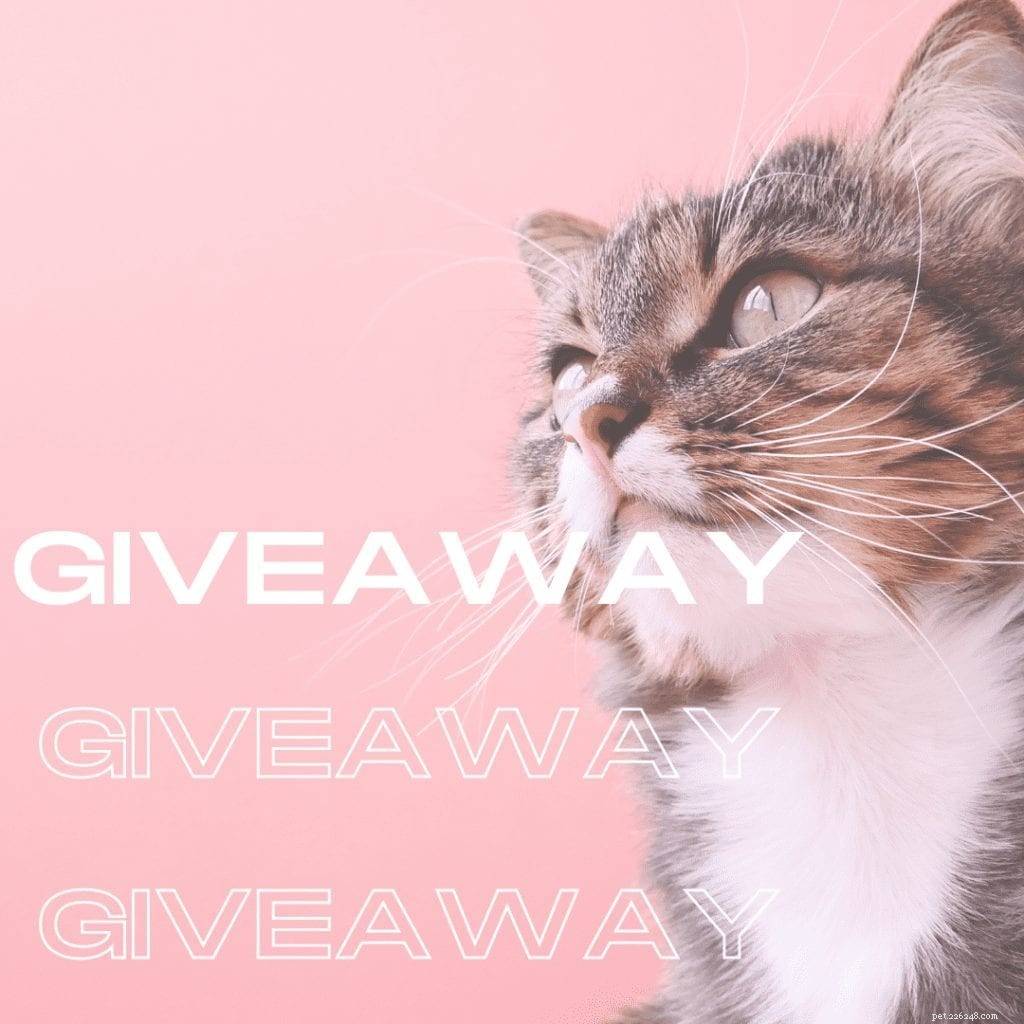 FREE Pink Kritter Kondo Deluxe Cat Enclosure – Secure Outdoor Experience