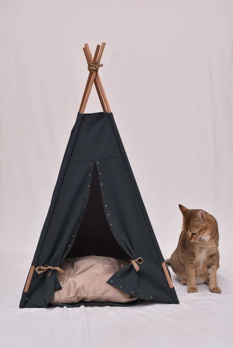 Top 10 Tips for Selecting the Ideal Cat Catio Furniture