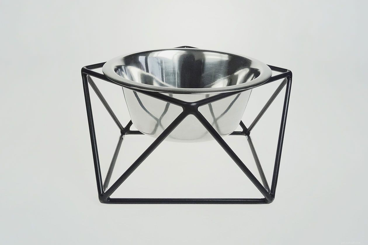 Compact Cat Furniture: Stylish Solutions for Small Apartment Homes