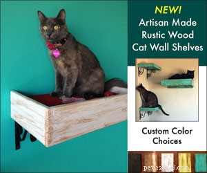 Compact Cat Furniture: Stylish Solutions for Small Apartment Homes