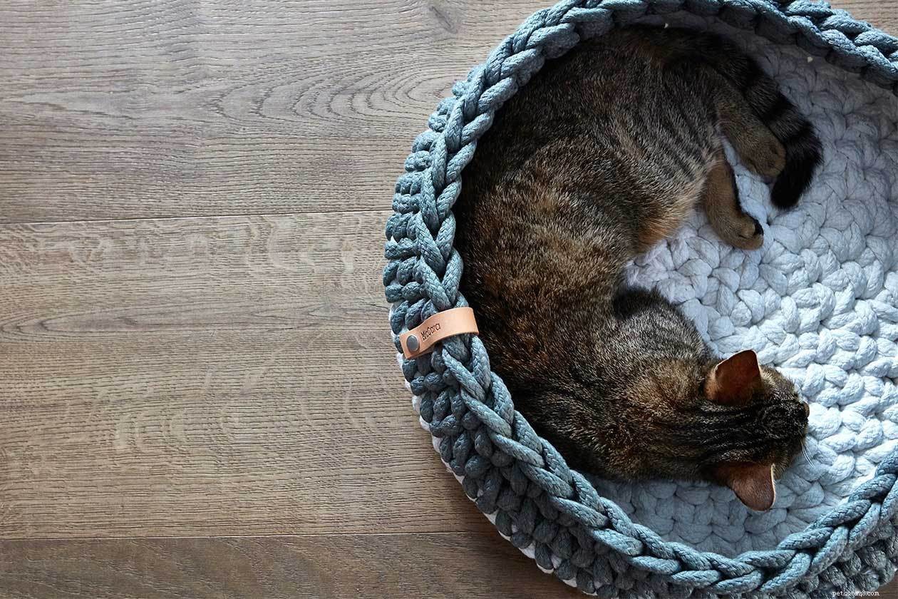 Compact Cat Furniture: Stylish Solutions for Small Apartment Homes