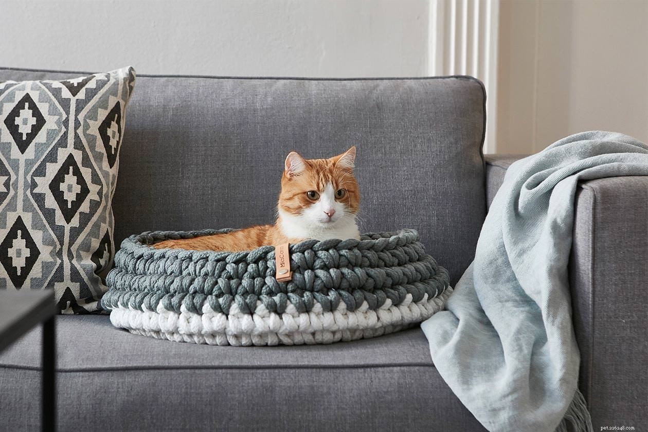 Compact Cat Furniture: Stylish Solutions for Small Apartment Homes