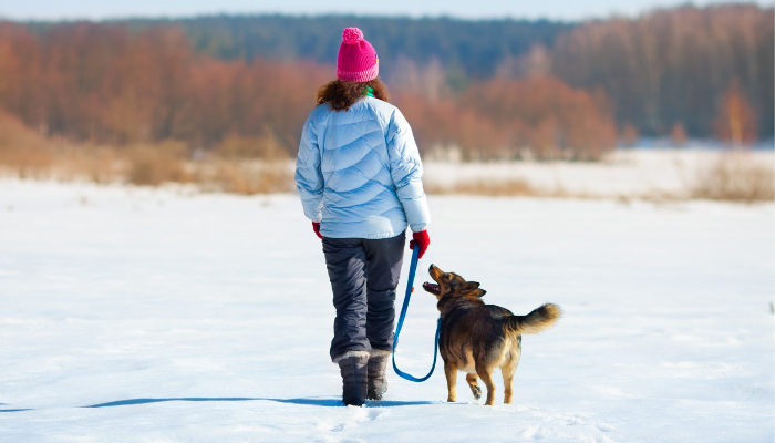 How I Cured My Dog’s Pulling Habit and Enjoy Peaceful Walks