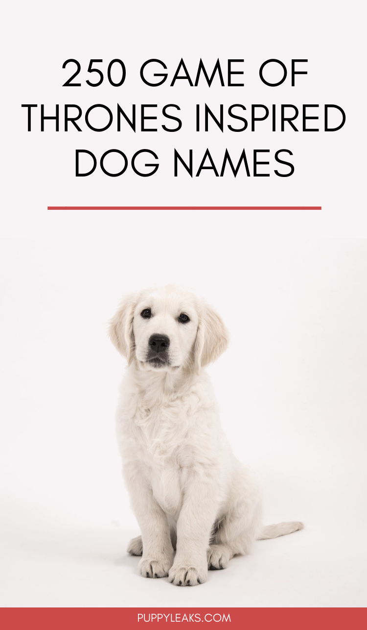 250 Game of Thrones Dog Names: Legendary Choices for Fans