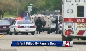 Tragic Incident in Michigan: Catahoula Hound Attack Claims Life of 2-Month-Old
