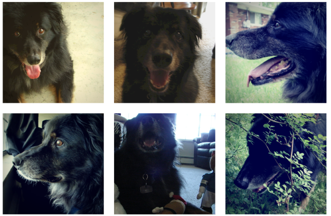Dear Carter: A Tribute to 13 Years of Unwavering Friendship