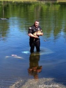 Happy Tails: Weekly Pup Report – Officer Saves Dog from Submerged Vehicle