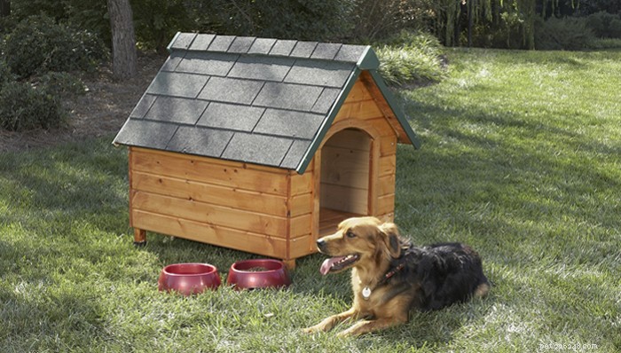 15 Easy & Free Dog House Plans – Build a Cozy Shelter for Your Furry Friend