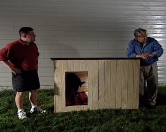 15 Easy & Free Dog House Plans – Build a Cozy Shelter for Your Furry Friend