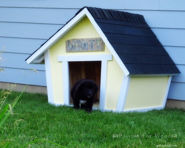 15 Easy & Free Dog House Plans – Build a Cozy Shelter for Your Furry Friend