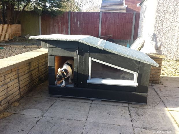 15 Easy & Free Dog House Plans – Build a Cozy Shelter for Your Furry Friend