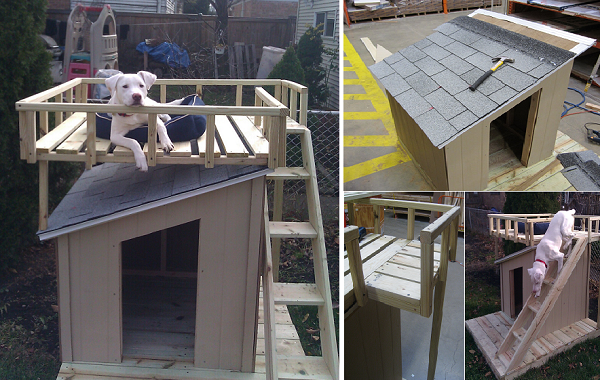 15 Easy & Free Dog House Plans – Build a Cozy Shelter for Your Furry Friend