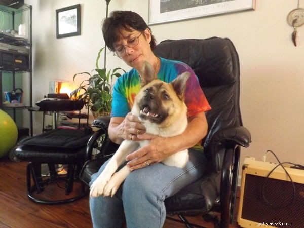 Pig the Adorable Dog: Follow Her Viral Adventures on Facebook