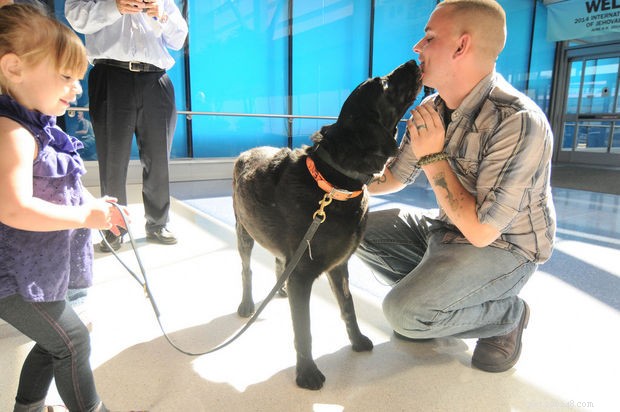 Veteran Reunites With Retired Military Dog After Four-Year Separation