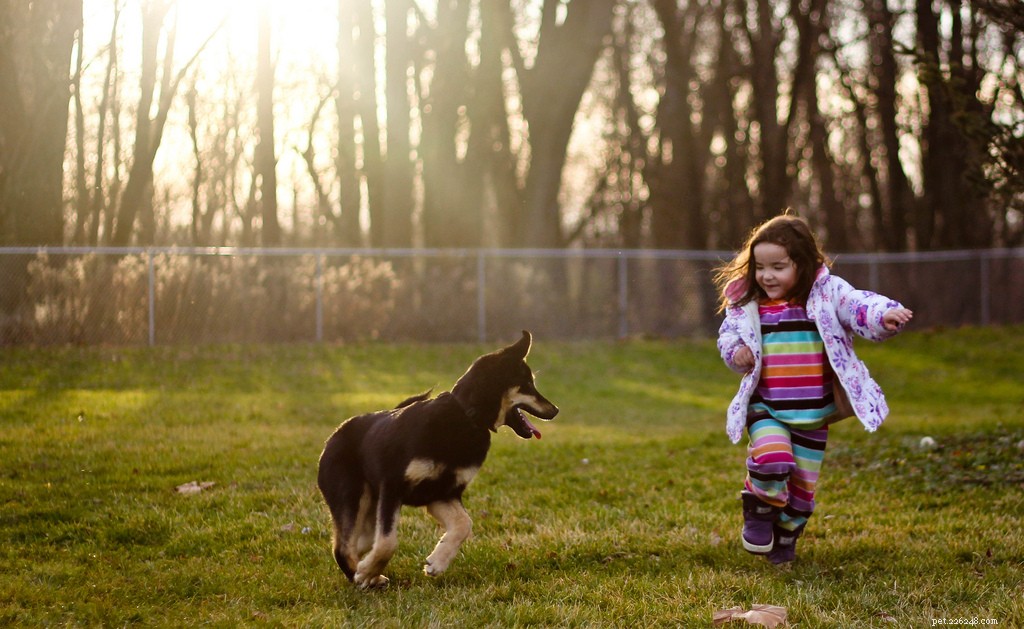 16 Adorably Joyful Dogs Captured on Flickr