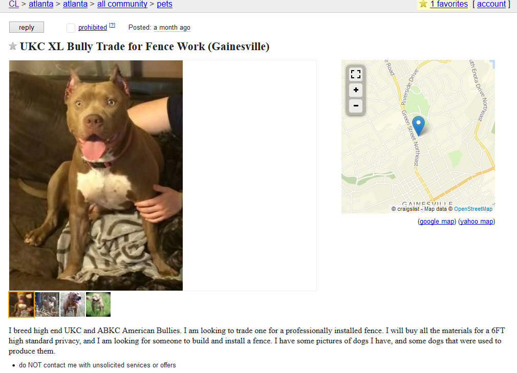 Beware: Risks of Buying Dogs on Craigslist