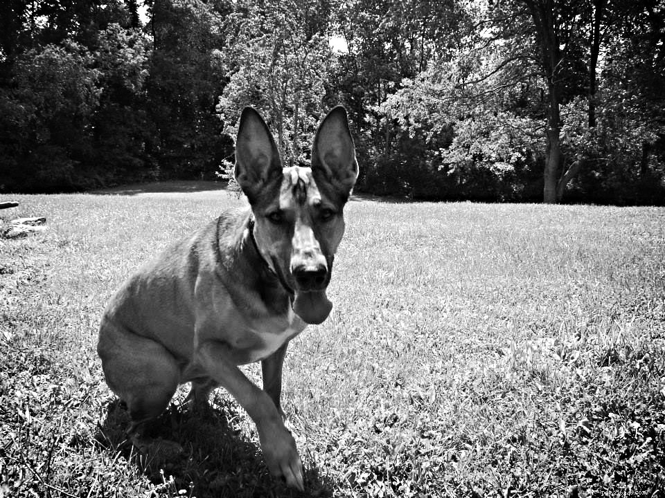 Black & White Sunday – Toss the Frisbee & Enjoy a Classic Weekend
