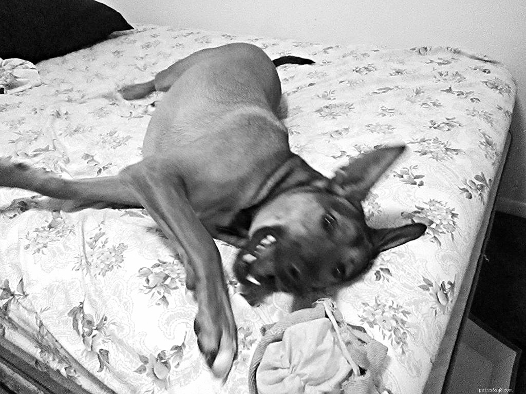 Ready to Play: Capturing the Essence of Black & White Sunday
