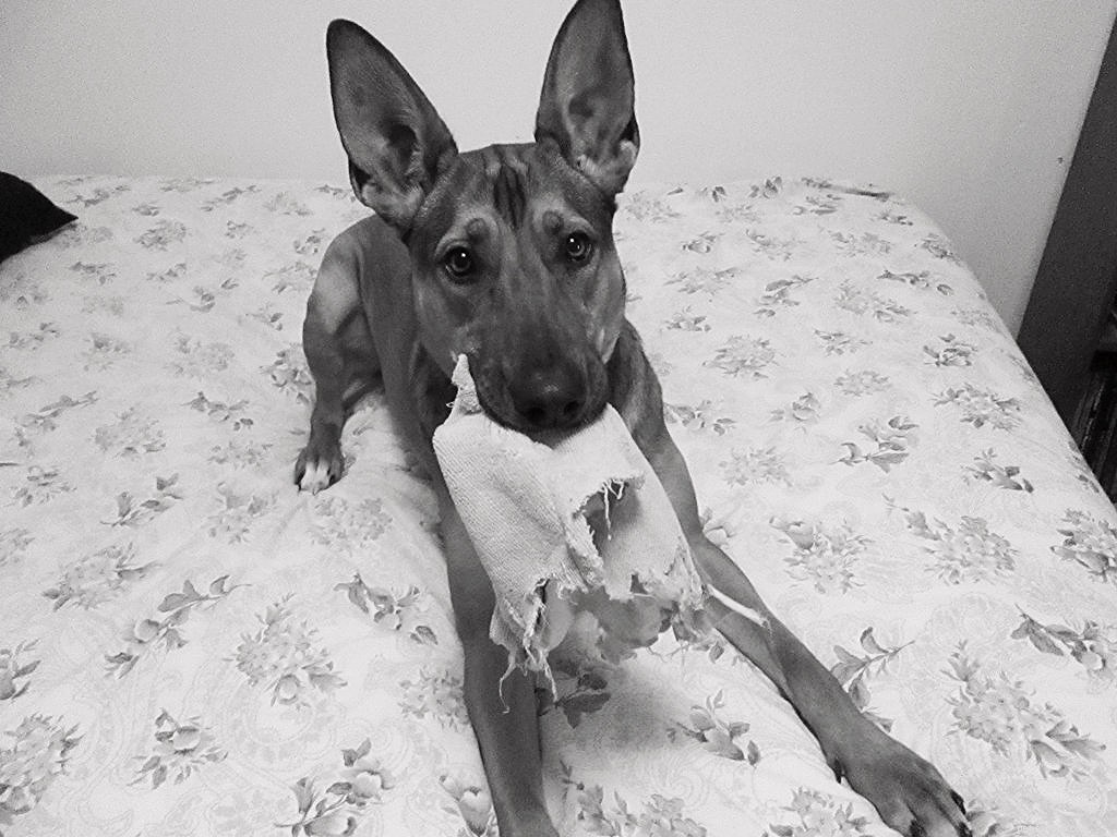Ready to Play: Capturing the Essence of Black & White Sunday