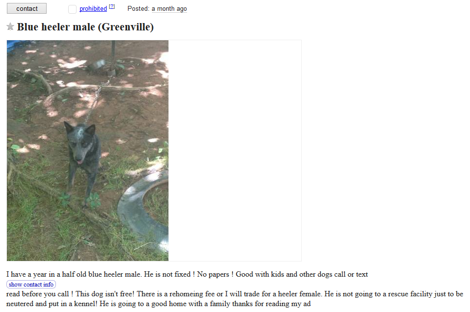 Craigslist Dog Listings: Responsible Trading & Adoption Opportunities