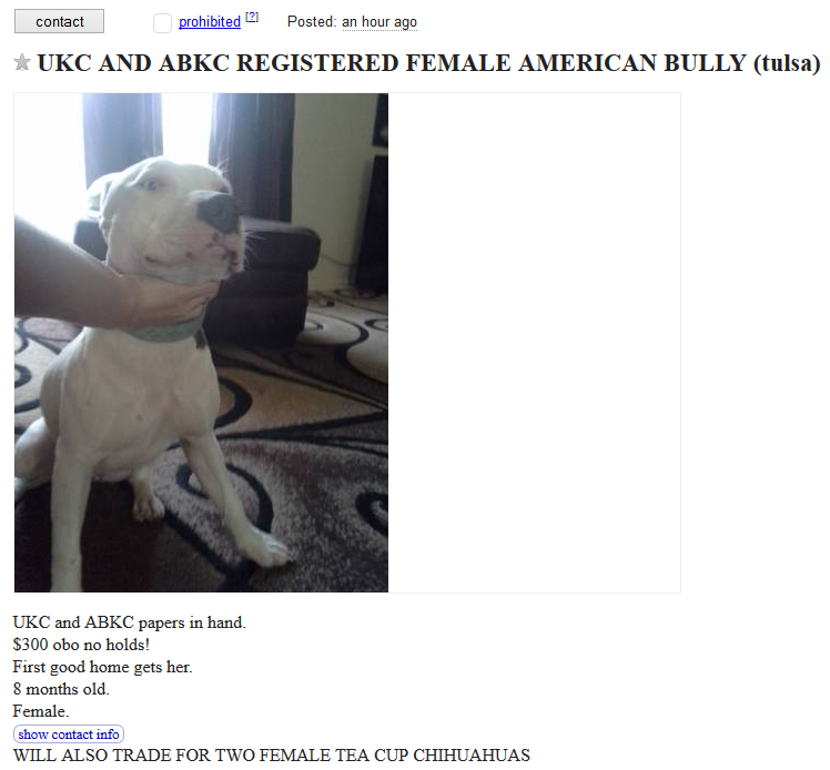 Craigslist Dog Listings: Responsible Trading & Adoption Opportunities