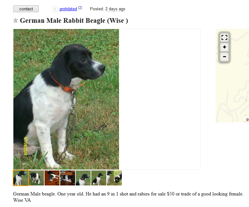 Craigslist Dog Listings: Responsible Trading & Adoption Opportunities