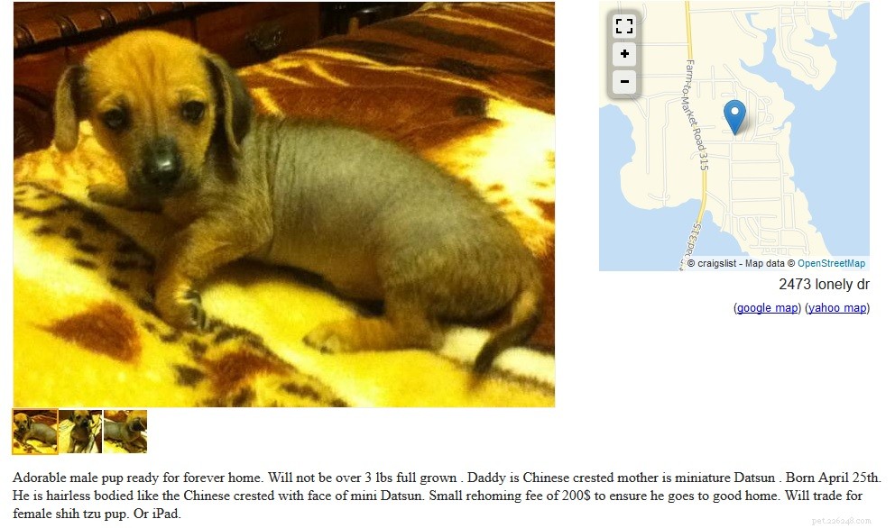 Craigslist Dog Listings: Responsible Trading & Adoption Opportunities