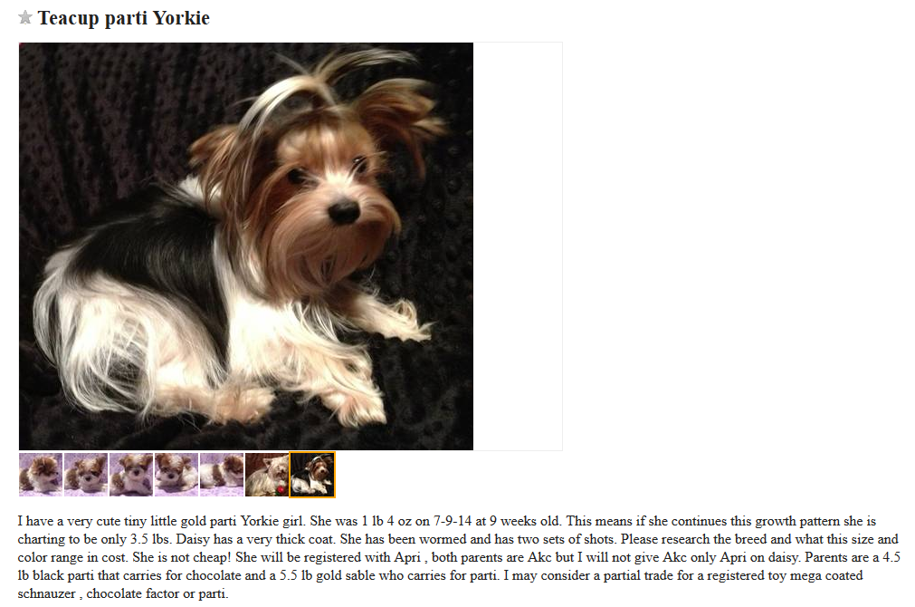 Craigslist Dog Listings: Responsible Trading & Adoption Opportunities