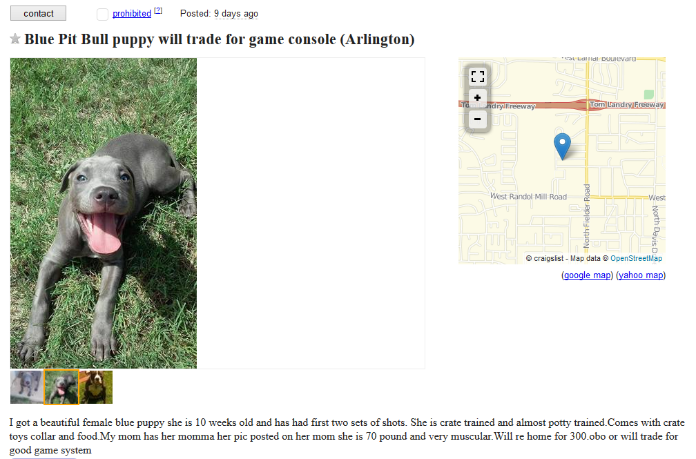 Craigslist Dog Listings: Responsible Trading & Adoption Opportunities