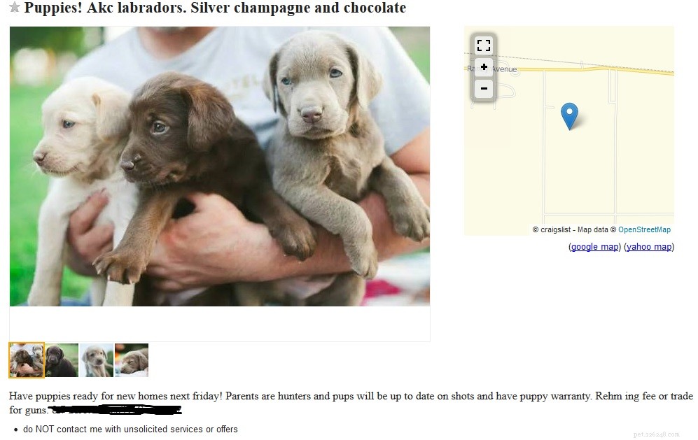Craigslist Dog Listings: Responsible Trading & Adoption Opportunities