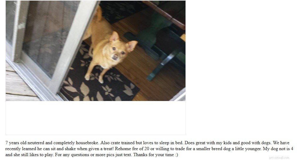 Craigslist Dog Listings: Responsible Trading & Adoption Opportunities