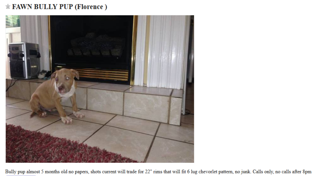 Craigslist Dog Listings: Responsible Trading & Adoption Opportunities