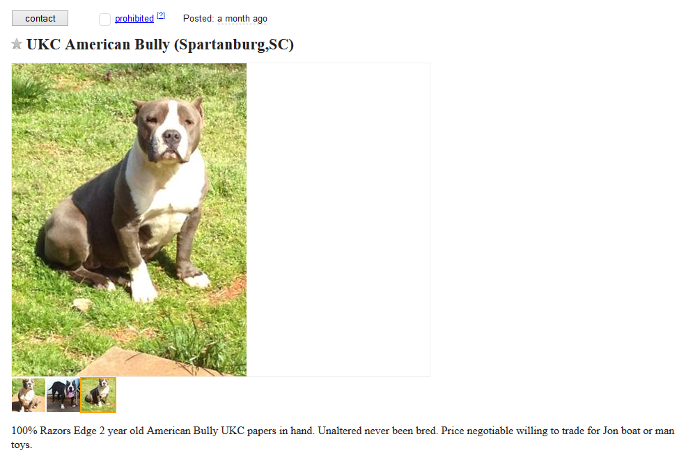 Craigslist Dog Listings: Responsible Trading & Adoption Opportunities