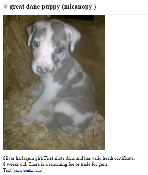 The Hidden Risks of Trading Dogs on Craigslist