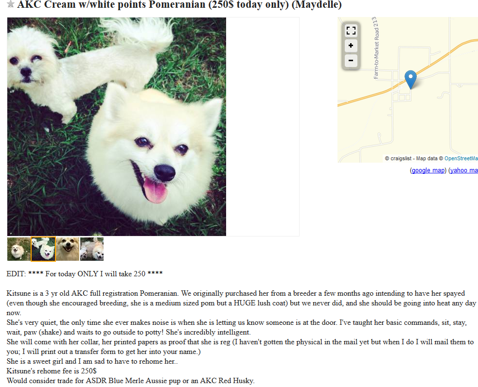 The Hidden Risks of Trading Dogs on Craigslist